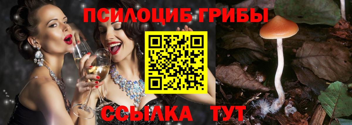 Псилоцибиновые грибы мухоморы Лыткарино