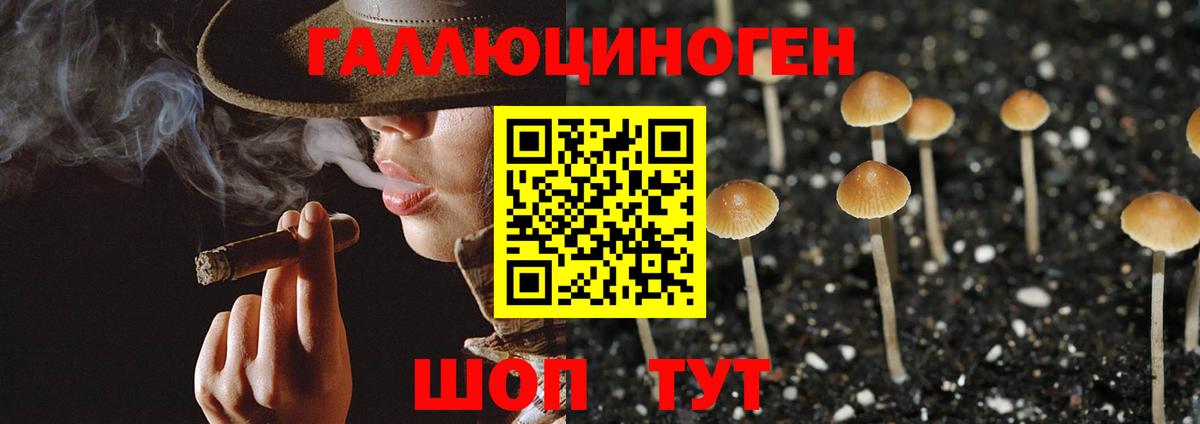 Галлюциногенные грибы прущие грибы  наркота  Лыткарино  Вход с VPN 